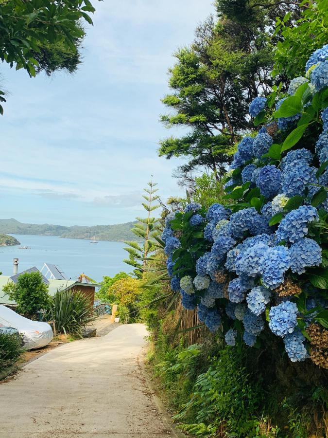 Boho Hill Apartment - Great Barrier Island Escape Okiwi Dış mekan fotoğraf